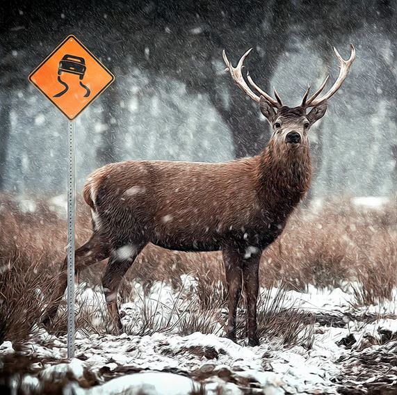 Türk Sanatçıdan Fotoğraf Olmadığına İnanamayacağınız 21 Muhteşem Dijital Çizim!