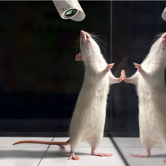 Türk Sanatçıdan Fotoğraf Olmadığına İnanamayacağınız 21 Muhteşem Dijital Çizim!