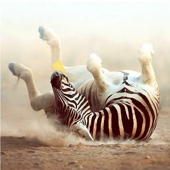 Türk Sanatçıdan Fotoğraf Olmadığına İnanamayacağınız 21 Muhteşem Dijital Çizim!