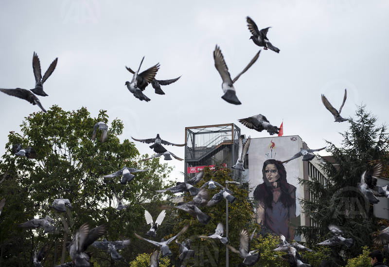 Mural-İst Duvar Boyama Festivali