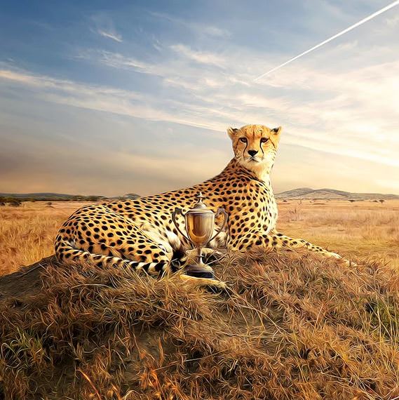 Türk Sanatçıdan Fotoğraf Olmadığına İnanamayacağınız 21 Muhteşem Dijital Çizim!