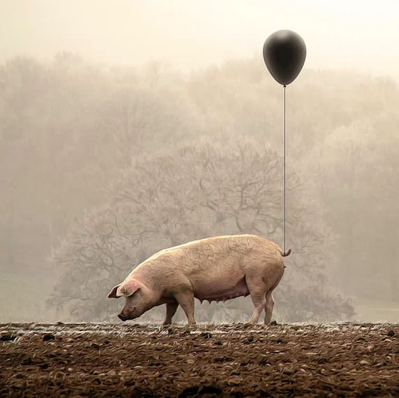 Türk Sanatçıdan Fotoğraf Olmadığına İnanamayacağınız 21 Muhteşem Dijital Çizim!