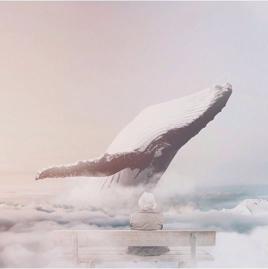 Fotoğrafları başkalaştıran sanatçının çalışmaları!