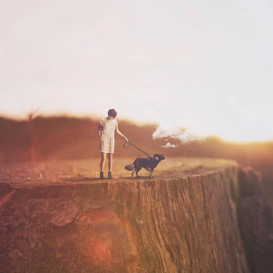 Fotoğrafları başkalaştıran sanatçının çalışmaları!