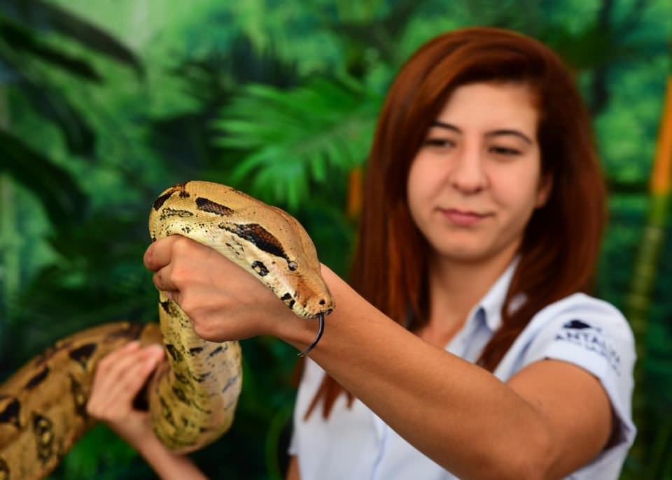 Dünya'nın gizemli canlıları