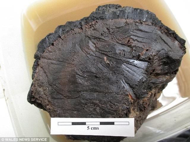 Tanrı'ya inanan firavun Akhenaton'un gizemi!