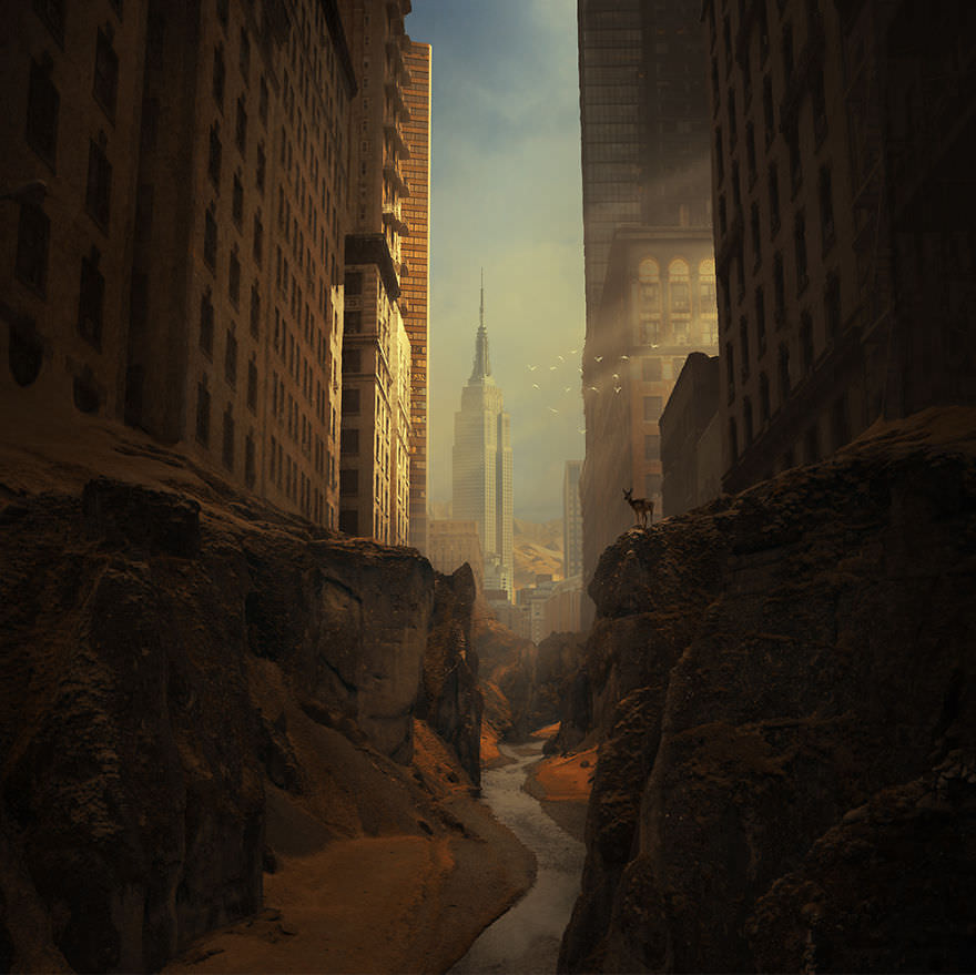 Bir fotoğrafçının 'Paralel Dünyası'