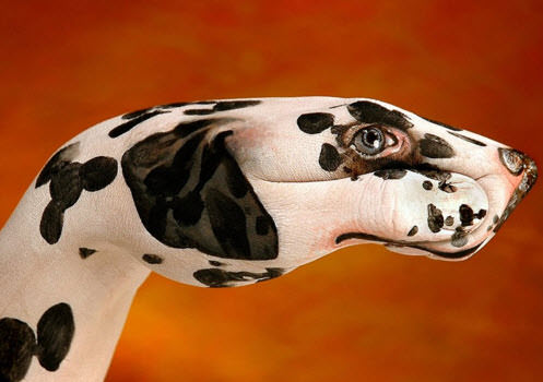 Elleriyle mucize yarattı