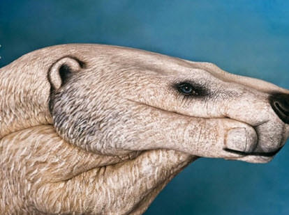 Elleriyle mucize yarattı