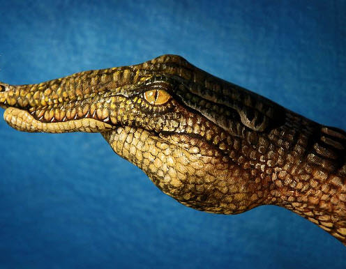 Elleriyle mucize yarattı