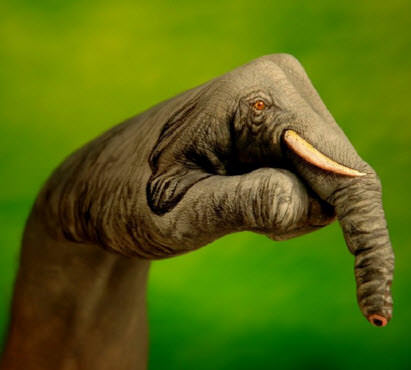 Elleriyle mucize yarattı