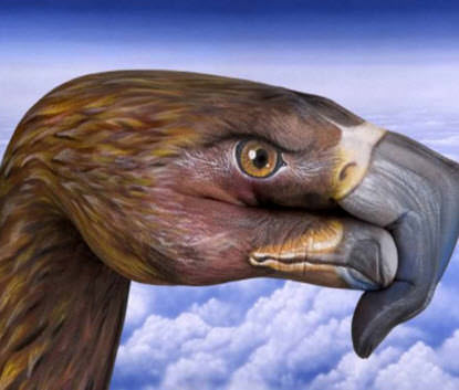 Elleriyle mucize yarattı