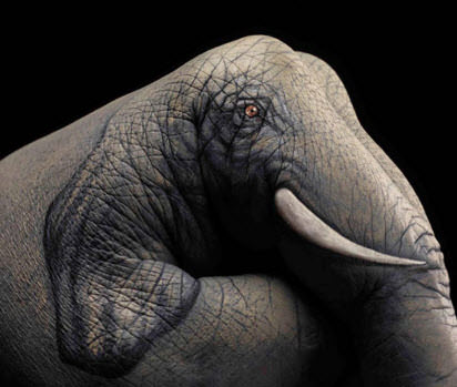 Elleriyle mucize yarattı