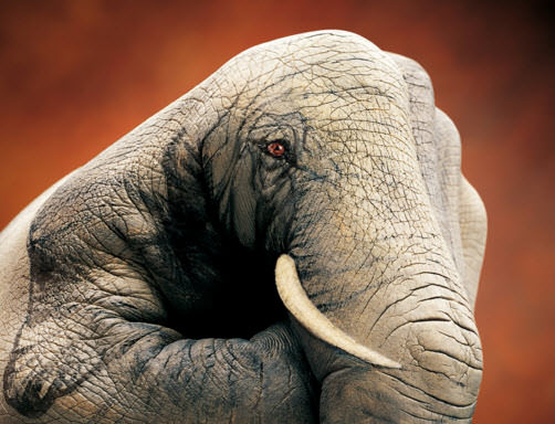 Elleriyle mucize yarattı