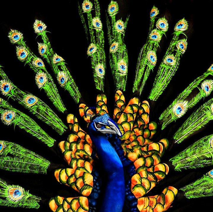 İnanılmaz vücut boyama sanatı