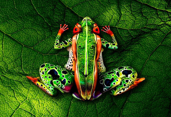 İnanılmaz vücut boyama sanatı