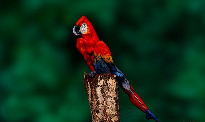 İnanılmaz vücut boyama sanatı