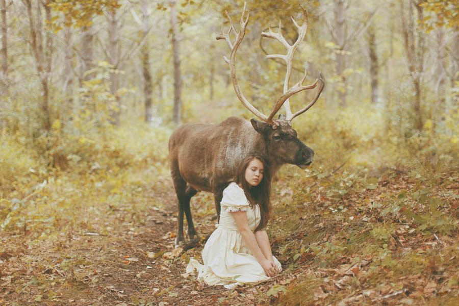 Vahşi hayvanlarla birlikte poz veren güzeller