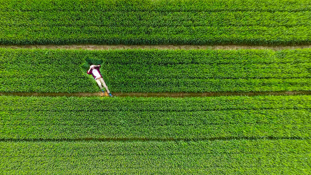 Drone'lar tarafından çekilen muhteşem fotoğraflar
