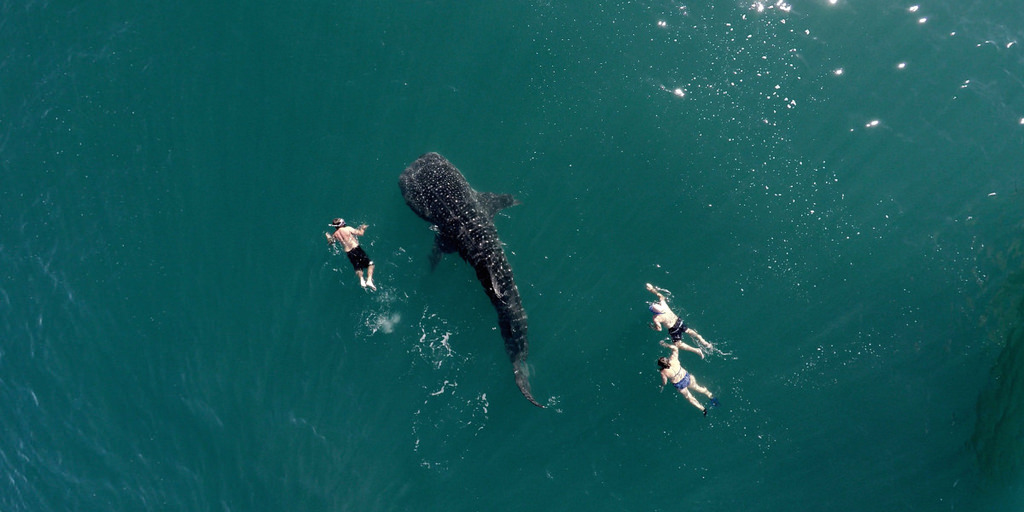 Drone'lar tarafından çekilen muhteşem fotoğraflar