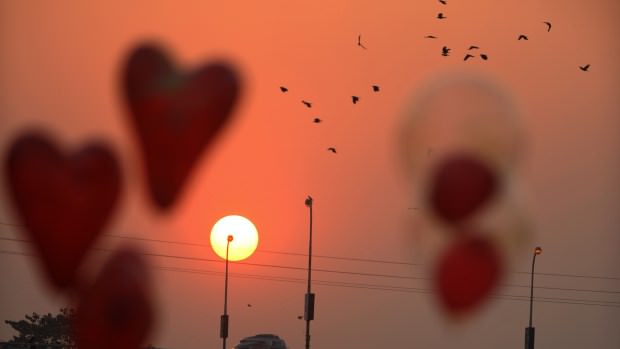 14 Şubat yaklaşıyor: İşte aşk hakında bilmedikleriniz