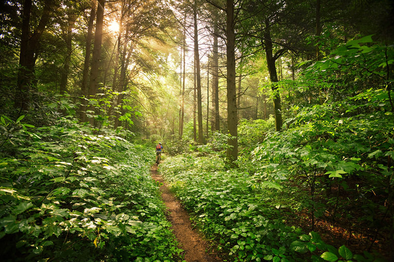 Unutulmaz filmlerin çekildiği büyüleyici mekanlar