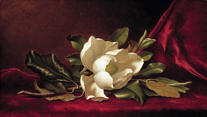 Şaşırtıcı Yollarla Zengin Olan 10 Kişi