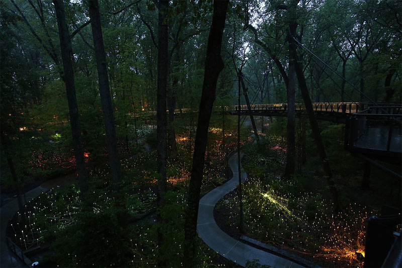 Çölü aydınlatan sanatçı ışık tarlası oluşturdu