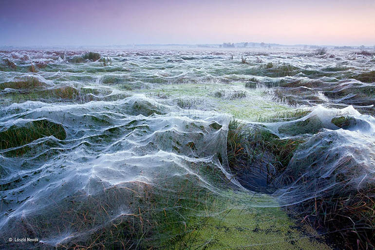 2015 Yılının En Güzel Bilim Fotoğrafları