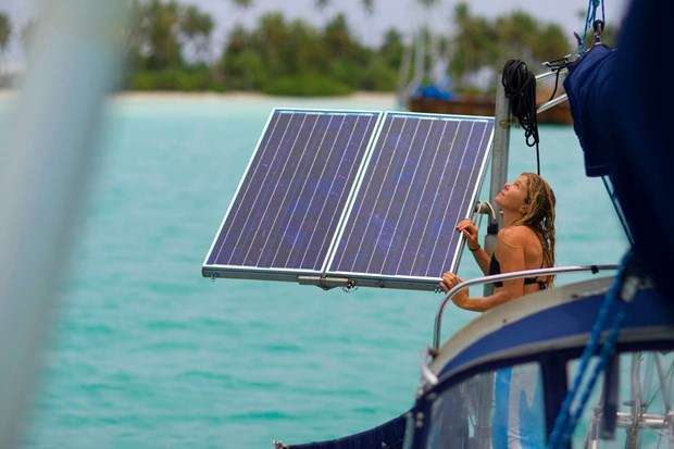Hepimizden daha çok seyahat eden kedi: Amelia