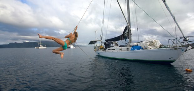 Hepimizden daha çok seyahat eden kedi: Amelia