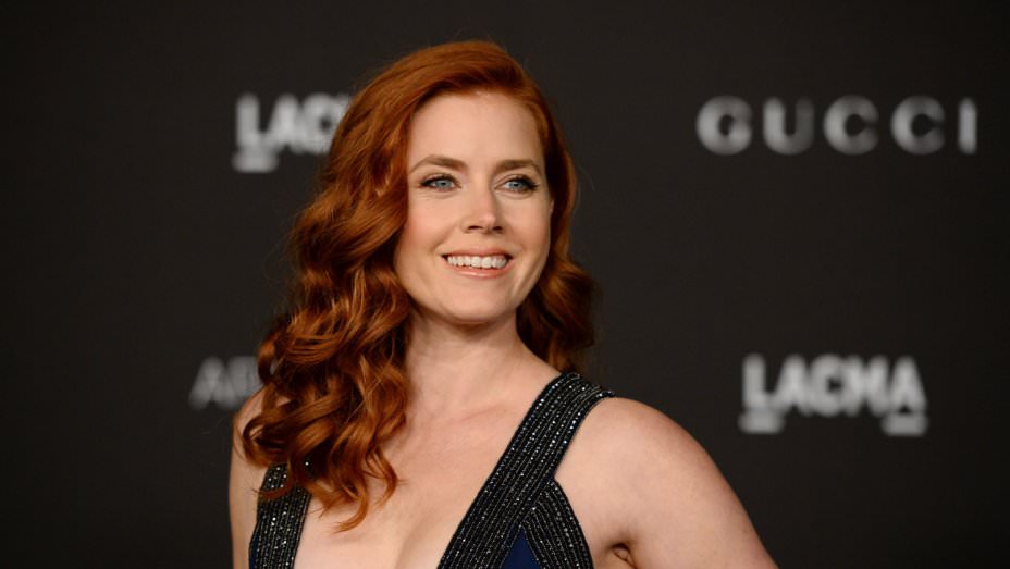 Amy Adams: Yükseliş dönemi!