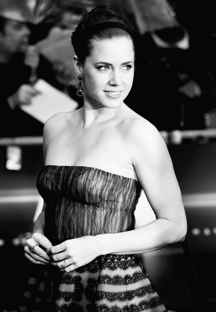 Amy Adams: Yükseliş dönemi!