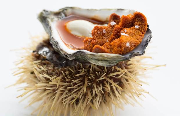 Dünyanın en iyi 50 restoranı