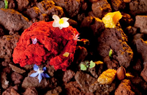 Dünyanın en iyi 50 restoranı