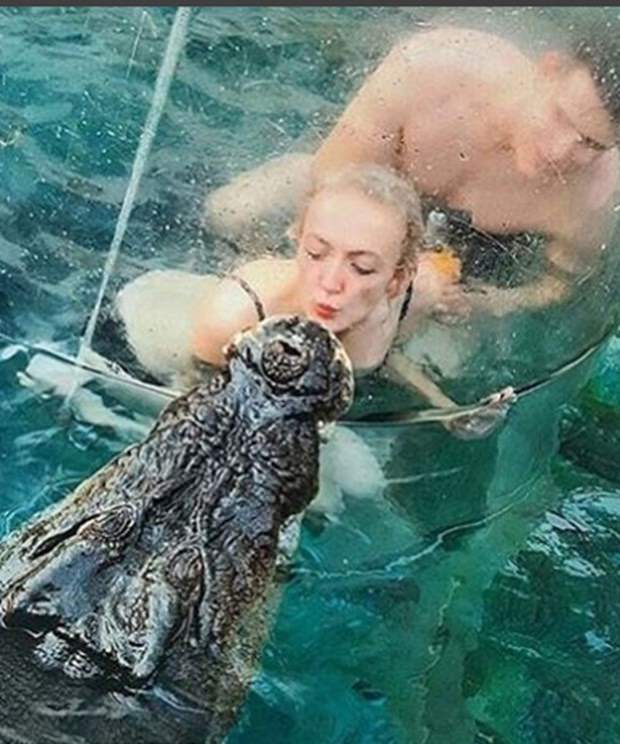 Ekstrem tatil: Avustralya'da timsah havuzu