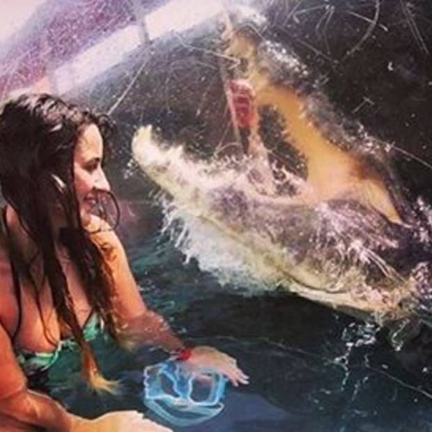 Ekstrem tatil: Avustralya'da timsah havuzu