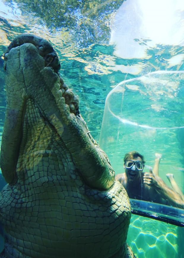 Ekstrem tatil: Avustralya'da timsah havuzu