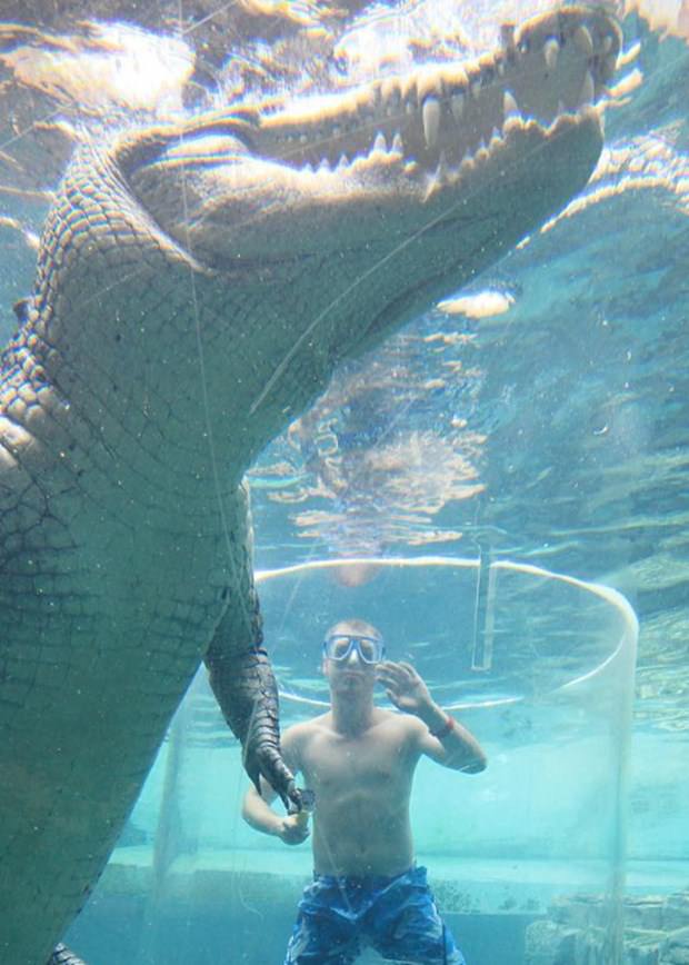 Ekstrem tatil: Avustralya'da timsah havuzu