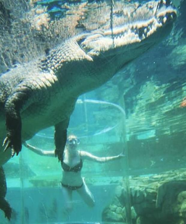 Ekstrem tatil: Avustralya'da timsah havuzu