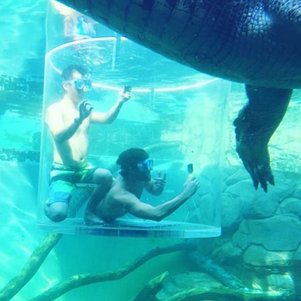 Ekstrem tatil: Avustralya'da timsah havuzu