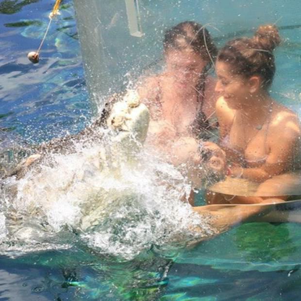 Ekstrem tatil: Avustralya'da timsah havuzu