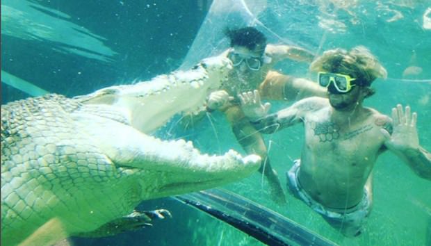 Ekstrem tatil: Avustralya'da timsah havuzu