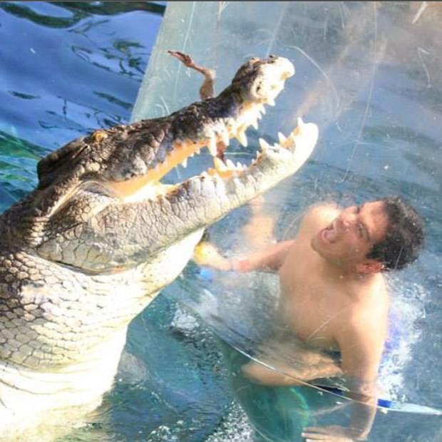 Ekstrem tatil: Avustralya'da timsah havuzu