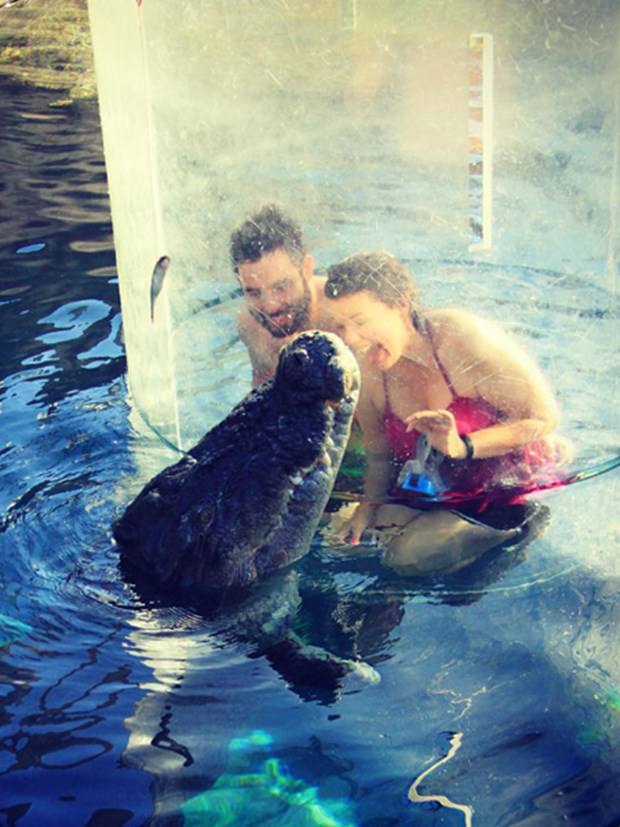 Ekstrem tatil: Avustralya'da timsah havuzu