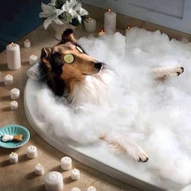 Instagram'ın zengin çocukları