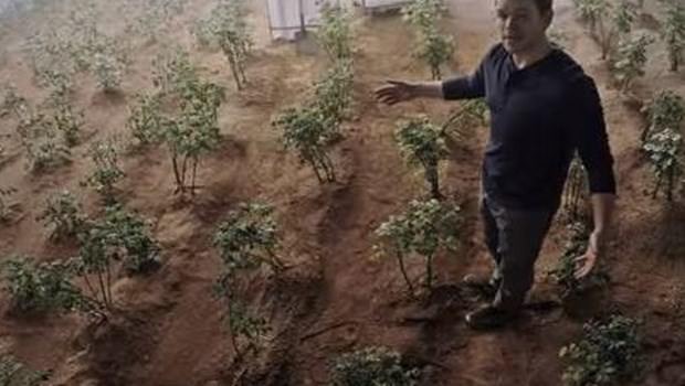 Mars toprağı tarıma elverişli çıktı