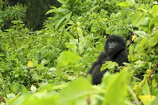 Gördükten sonra hayatınızı değiştirecek yerler