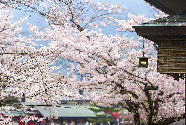 Gördükten sonra hayatınızı değiştirecek yerler