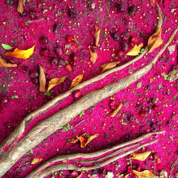 iPhone Fotoğraf Ödülleri'nin kazananları belli oldu